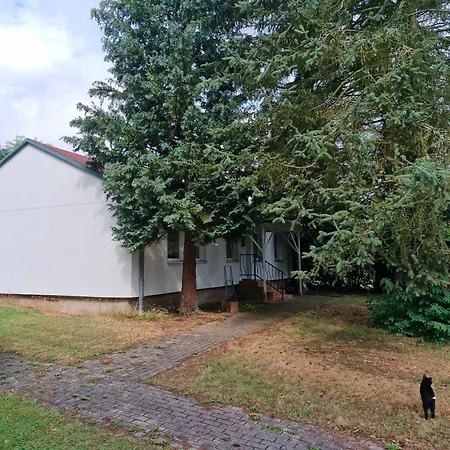 2 - 4-raum-wohnung Mit Kueche Und 2 Wc Duschen In Ohrdruf-crawinkel