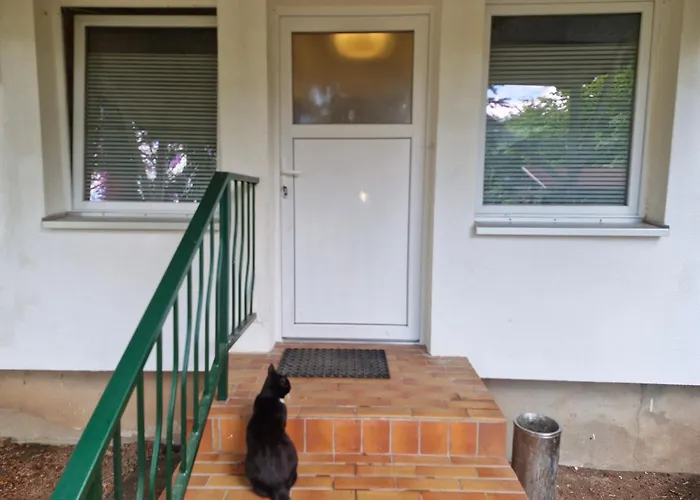 2 - 4-raum-wohnung Mit Küche Und 2 Wc Duschen In Ohrdruf-crawinkel Ohrdruf